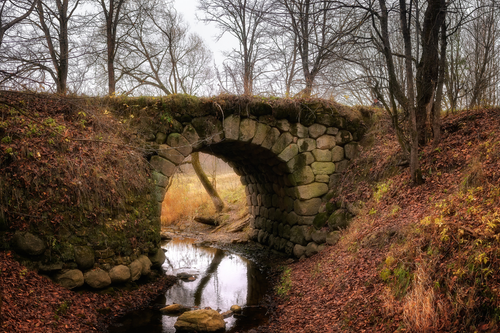 Untitled design (60).png