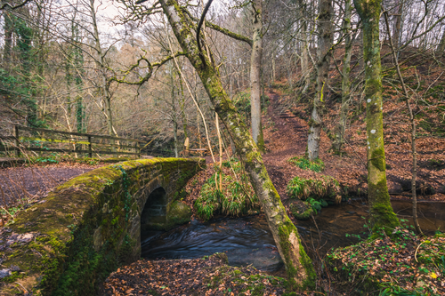 Untitled design (59).png