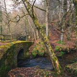 Untitled design (59)