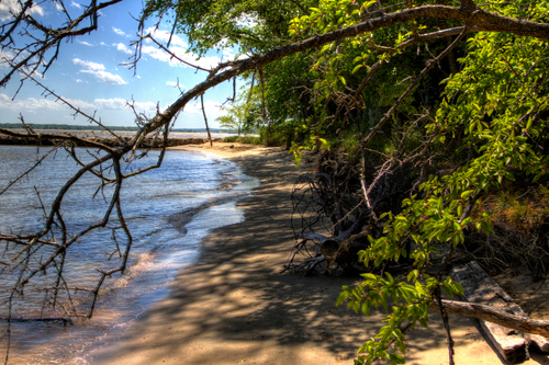 Untitled design (52).png