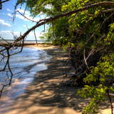 Untitled design (52)