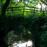 Untitled design (57)