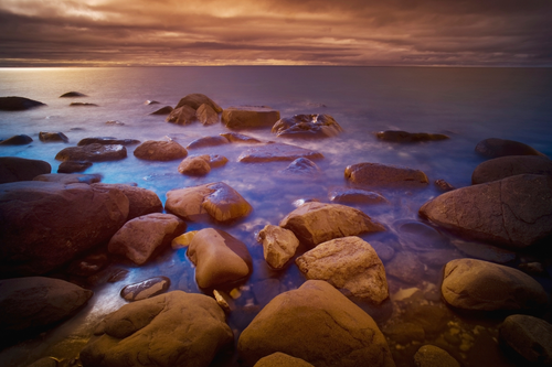 Untitled design (50).png