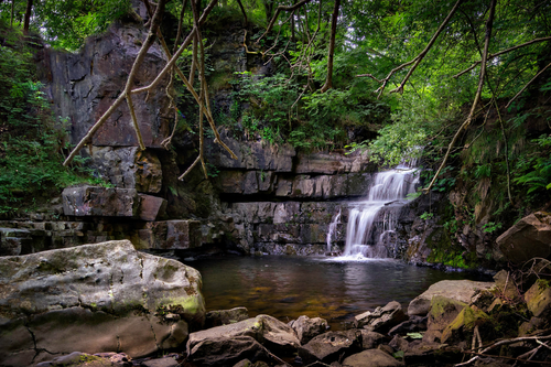 Untitled design (55).png