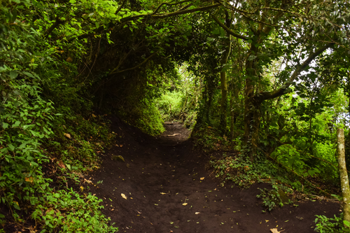 Untitled design (41).png