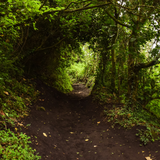 Untitled design (41)