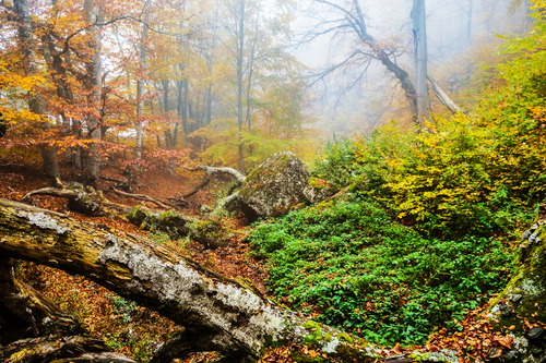 Untitled design (20).png