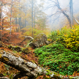 Untitled design (20)