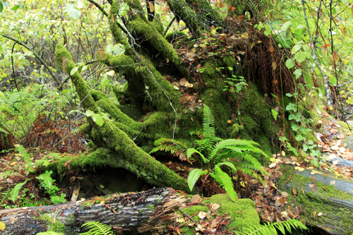 Untitled design (26).png