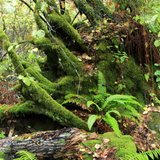 Untitled design (26)