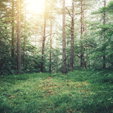 Untitled design (23)