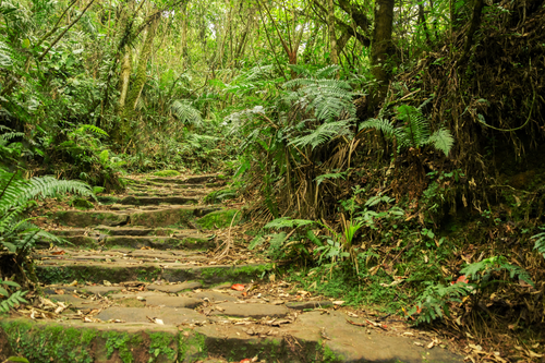 Untitled design (56).png