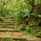 Untitled design (56)