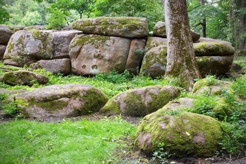 Untitled design (62).png