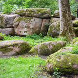 Untitled design (62)