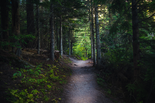 Untitled design (53).png