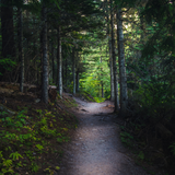 Untitled design (53)