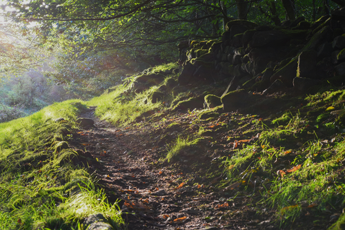 Untitled design (44).png