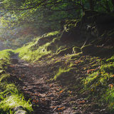 Untitled design (44)