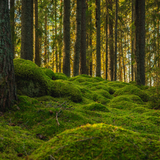 Untitled design (43)