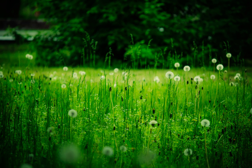 Untitled design (21).png