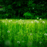 Untitled design (21)