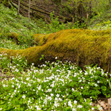 Untitled design (35)