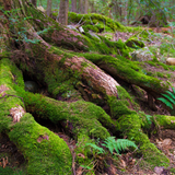 Untitled design (42)