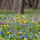 Untitled design (22)