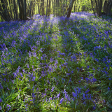 Untitled design (39)