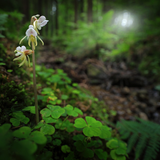 Untitled design (33)