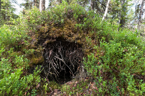 Untitled design (63).png