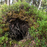 Untitled design (63)