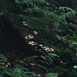 Untitled design (34)