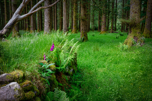 Untitled design (37).png