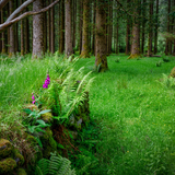 Untitled design (37)