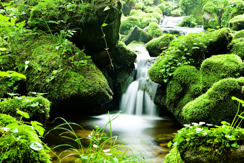 Untitled design (29).png