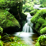 Untitled design (29)