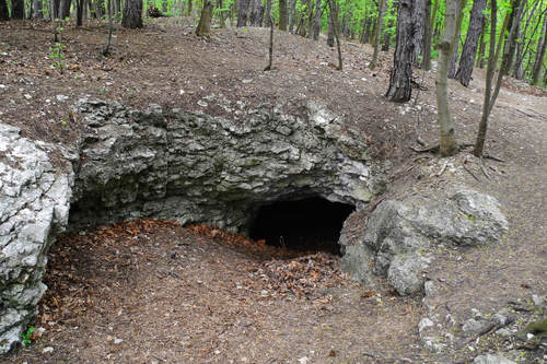 Untitled design (69).png