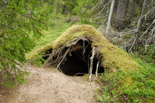 Untitled design (64).png