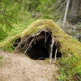 Untitled design (64)