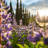 Untitled design (32)