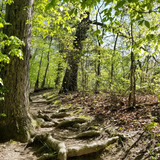 Untitled design (31)