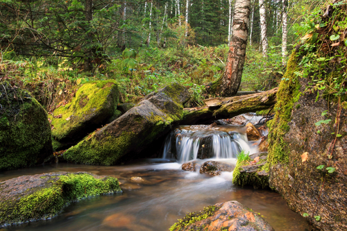 Untitled design (30).png