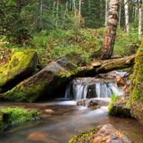 Untitled design (30)