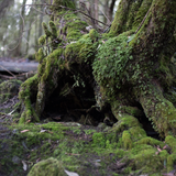 Untitled design (25)