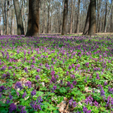 Untitled design (24)