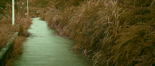 Under.the.Three.Rivers.2023.2160p.WEB DL.DDP2.0.H265.DV MISS.mkv 20240304 121512.587.png