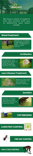 Lawn Care And Pest Control At A&A Lawncare.jpg
