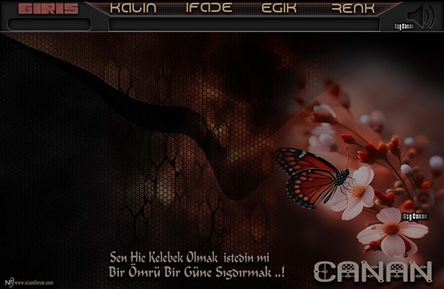 Canan Sen Hiç Kelebek.jpg